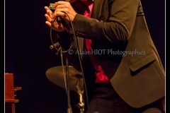 hommage-a-la-route-du-blues-cahors-blues-festival_14789905241_o