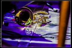 hommage-a-la-route-du-blues-cahors-blues-festival_14789986241_o