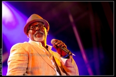 hommage-a-la-route-du-blues-cahors-blues-festival_14790036841_o