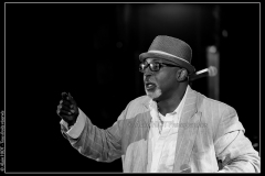 hommage-a-la-route-du-blues-cahors-blues-festival_14790066441_o