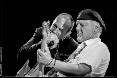 hommage-a-la-route-du-blues-cahors-blues-festival_14790079401_o