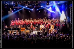 hommage-a-la-route-du-blues-cahors-blues-festival_14790449364_o