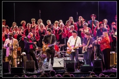 hommage-a-la-route-du-blues-cahors-blues-festival_14792432222_o