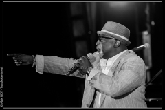 hommage-a-la-route-du-blues-cahors-blues-festival_14792842242_o