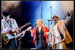hommage-a-la-route-du-blues-cahors-blues-festival_14792859415_o
