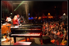 hommage-a-la-route-du-blues-cahors-blues-festival_14793039972_o