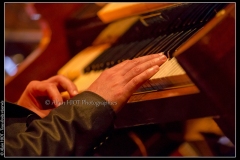 hommage-a-la-route-du-blues-cahors-blues-festival_14793124175_o