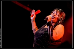 hommage-a-la-route-du-blues-cahors-blues-festival_14793241605_o