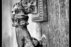 IMG_3280