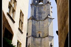 IMG_3290