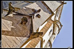 IMG_3294