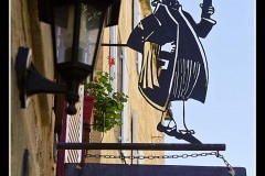 IMG_3312