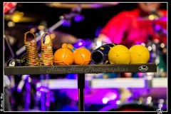 IMG_5129