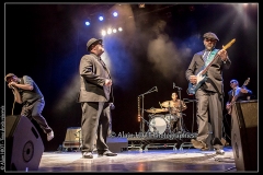 8Q1B9059