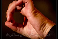 06IMG_6445