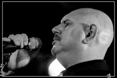 IMG_6326