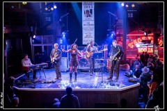 shanna-waterstown-le-blues-au-fminin_8430869956_o