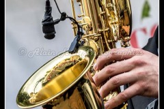 IMG_0270