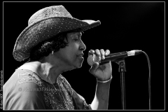 naomi-shelton-the-gospel-queens-cahors-blues-festival_14561754140_o