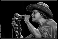 naomi-shelton-the-gospel-queens-cahors-blues-festival_14748081382_o