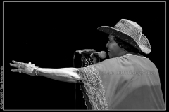naomi-shelton-the-gospel-queens-cahors-blues-festival_14748345105_o