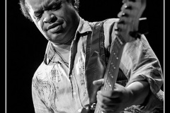shemekia-copeland-blues-sur-seine_8254755316_o