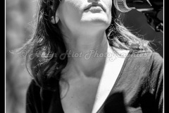 IMG_3293