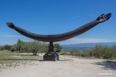 8Q1B8391