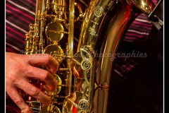 IMG_2253