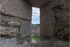 8Q1B3361