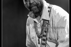 otis-taylor-cahors-blues-festival_14562138939_o