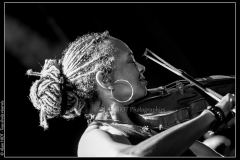 otis-taylor-cahors-blues-festival_14745555561_o