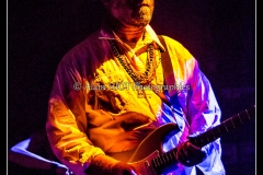 otis-taylor-cahors-blues-festival_14748372072_o