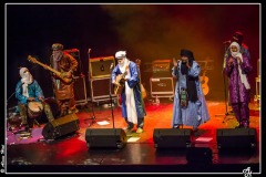 tinariwen-la-nacelle-aubergenvill_8192657075_o