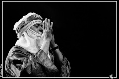 tinariwen-la-nacelle-aubergenvill_8192666337_o