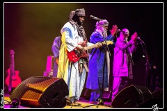 tinariwen-la-nacelle-aubergenvill_8193693992_o