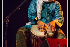 tinariwen-la-nacelle-aubergenvill_8193732906_o