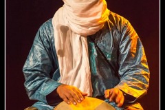 tinariwen-la-nacelle-aubergenvill_8193752132_o