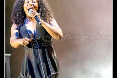 IMG_3749
