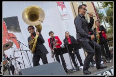 vigon-les-rolling-dominos-cahors-blues-festival-2012_7715934822_o