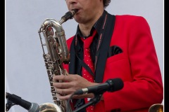 vigon-les-rolling-dominos-cahors-blues-festival-2012_7715977814_o