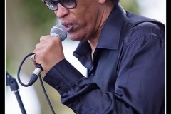 vigon-les-rolling-dominos-cahors-blues-festival-2012_7715982222_o