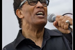 vigon-les-rolling-dominos-cahors-blues-festival-2012_7715985064_o