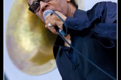 vigon-les-rolling-dominos-cahors-blues-festival-2012_7715988016_o