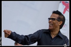 vigon-les-rolling-dominos-cahors-blues-festival-2012_7715993150_o