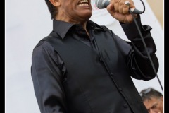 vigon-les-rolling-dominos-cahors-blues-festival-2012_7715998792_o