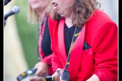 vigon-les-rolling-dominos-cahors-blues-festival-2012_7716026700_o