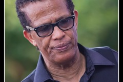 vigon-les-rolling-dominos-cahors-blues-festival-2012_7716046954_o