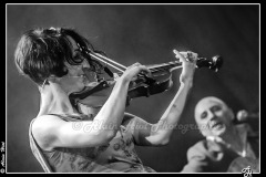 IMG_3276
