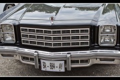 IMG_8655